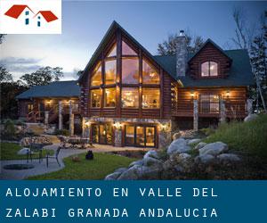 alojamiento en Valle del Zalabí (Granada, Andalucía) alojamiento en Valle del Zalabí (Granada, Andalucía)