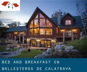 Bed and Breakfast en Ballesteros de Calatrava