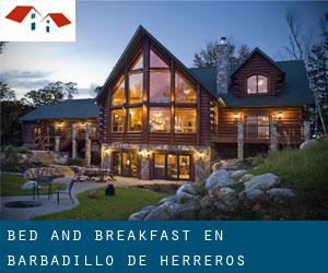 Bed and Breakfast en Barbadillo de Herreros