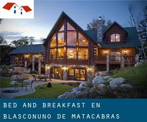 Bed and Breakfast en Blasconuño de Matacabras Bed and Breakfast en Blasconuño de Matacabras
