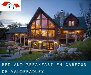 Bed and Breakfast en Cabezón de Valderaduey