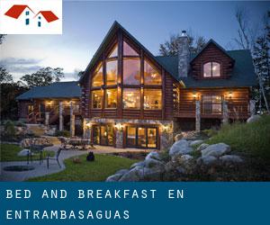 Bed and Breakfast en Entrambasaguas