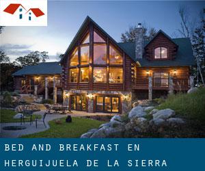 Bed and Breakfast en Herguijuela de la Sierra