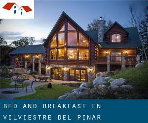 Bed and Breakfast en Vilviestre del Pinar